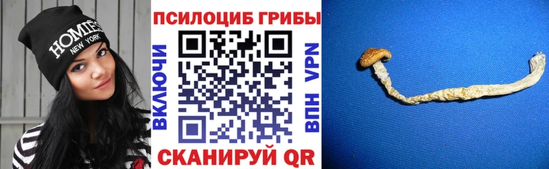 Галлюциногенные грибы мухоморы  Ульяновск 